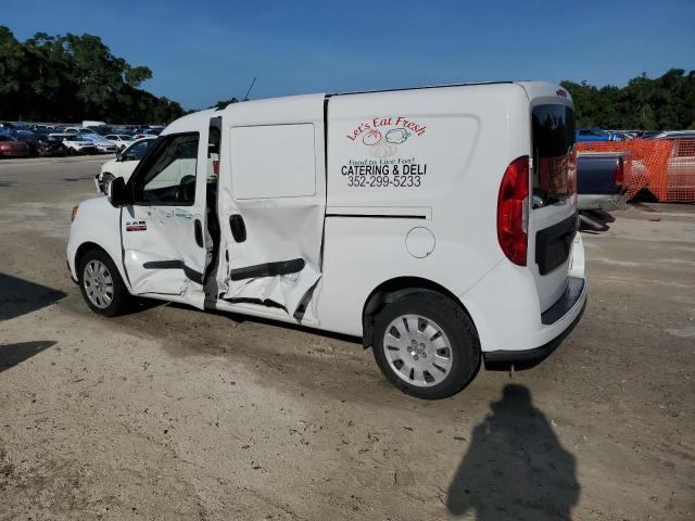  RAM All Models 2020 White