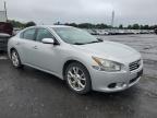 Fredericksburg, VA에서 판매 중인 2013 Nissan Maxima S - Minor Dent/Scratches
