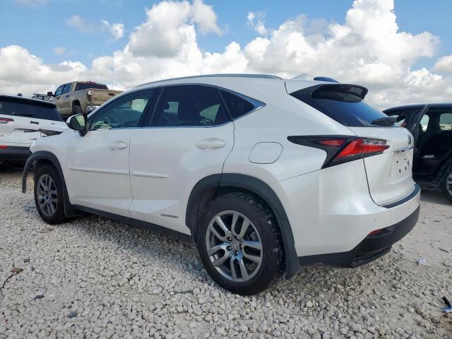  LEXUS NX 2016 Biały