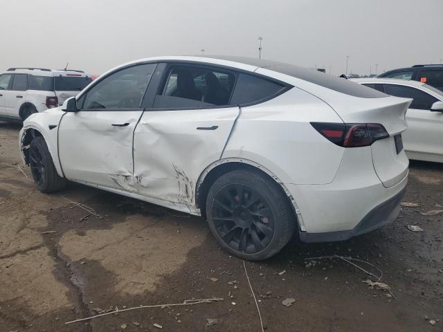  TESLA MODEL Y 2023 Biały