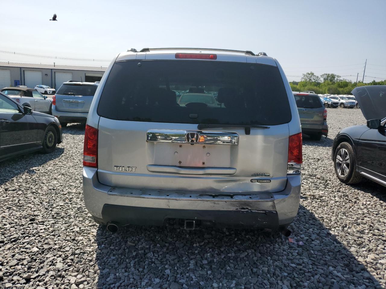 2011 Honda Pilot Exln VIN: 5FNYF4H76BB059634 Lot: 59106585