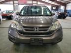 2010 Honda Cr-V Exl zu verkaufen in East Granby, CT - Minor Dent/Scratches