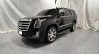 2018 Cadillac Escalade Luxury for Sale in Elgin, IL - Damage History