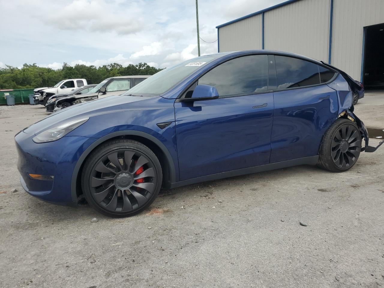 2022 Tesla Model Y на продаже в Apopka, FL - Rear End