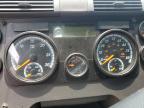 2017 Freightliner Cascadia 125 Semi Truck for Sale in Bridgeton, MO - All Over