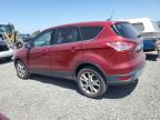 2013 Ford Escape Sel for Sale in Eugene, OR - Normal Wear