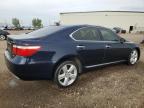 2009 LEXUS LS 460   for sale at Copart AB - CALGARY