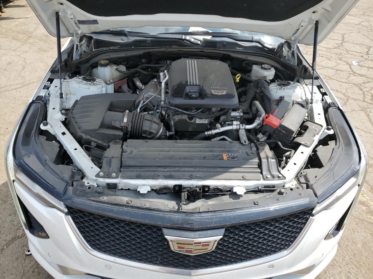 2023 Cadillac Ct4 Sport VIN: 1G6DG5RK3P0117650 Lot: 60963415