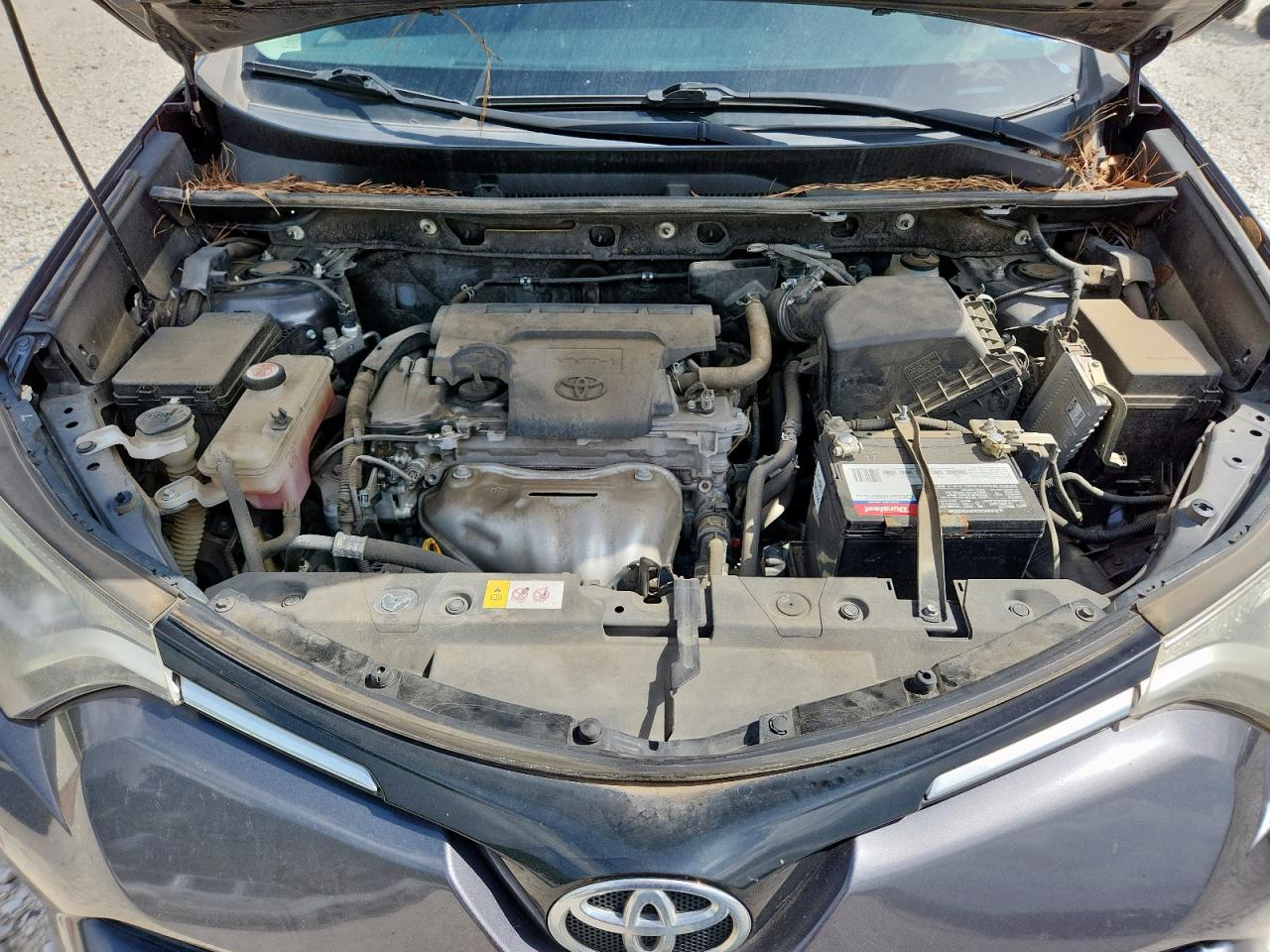 2016 Toyota Rav4 Le VIN: JTMZFREV6GJ098518 Lot: 60731885