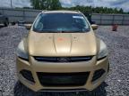 2014 Ford Escape Titanium for Sale in Hueytown, AL - Undercarriage