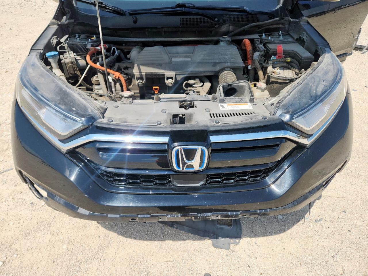 2020 Honda Cr-V Ex VIN: 7FART6H5XLE007341 Lot: 59765845