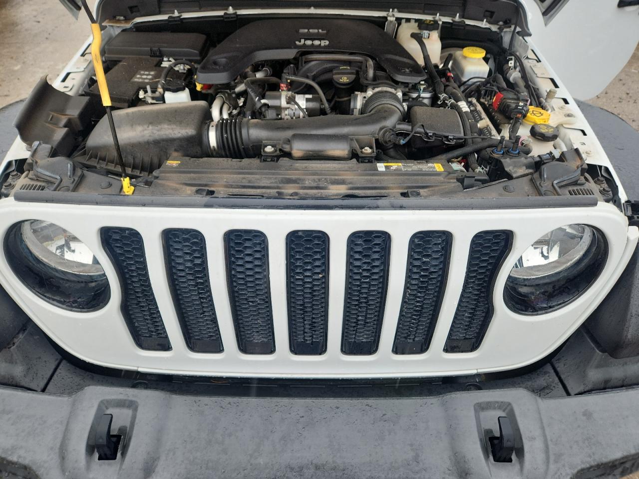 2021 Jeep Wrangler Unlimited Sport VIN: 1C4HJXDG3MW699448 Lot: 62924195