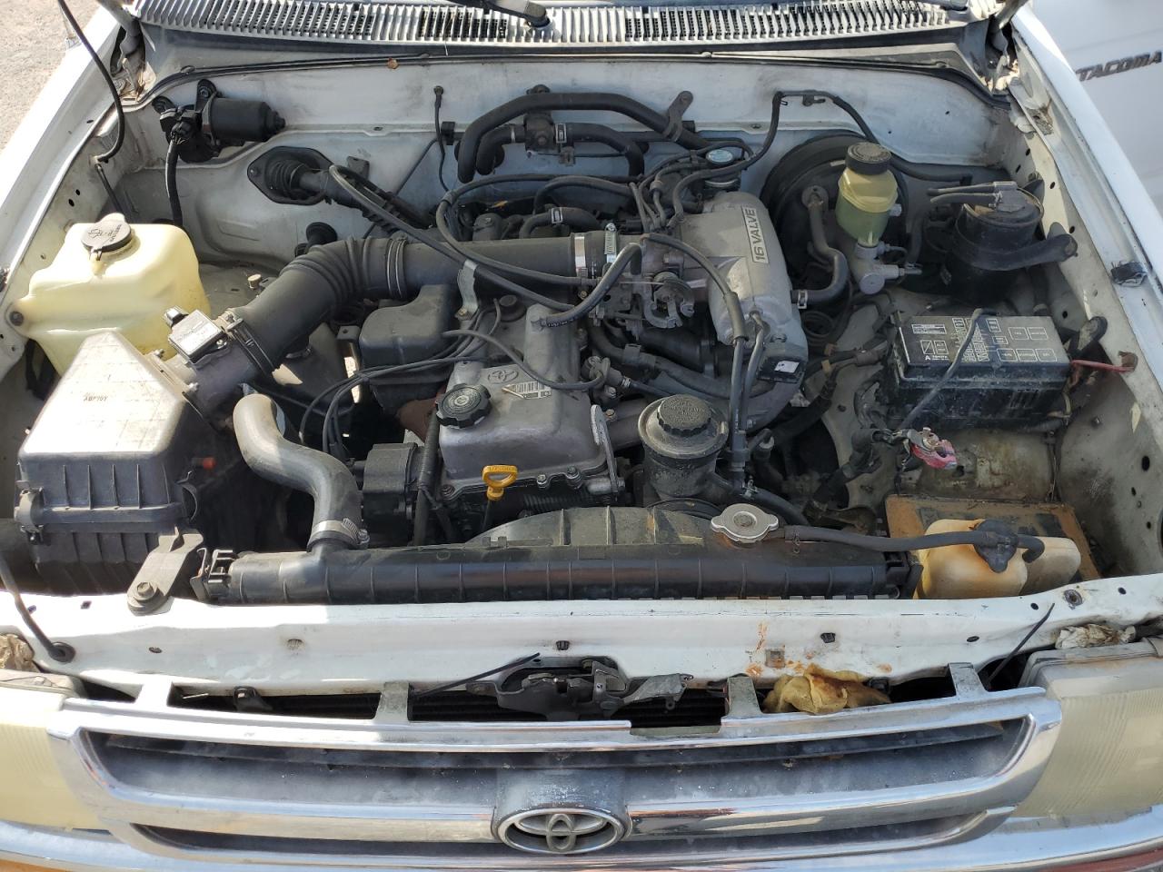 1997 Toyota Tacoma VIN: 4TANL42N1VZ245224 Lot: 62217295