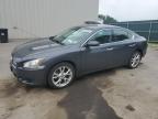 2012 Nissan Maxima S for Sale in Duryea, PA - Rear End