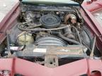1974 Chevrolet Camaro for Sale in Littleton, CO - Front End