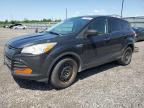 2014 FORD ESCAPE S   for sale at Copart ON - OTTAWA