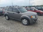 2010 Ford Escape Xlt for Sale in Lawrenceburg, KY - Front End