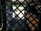 Theodore, AL에서 판매 중인 2013 Ford Econoline E150 Van - Normal Wear