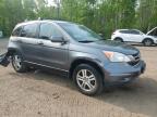 2010 Honda Cr-V Exl იყიდება Cookstown-ში, ON - Rear End