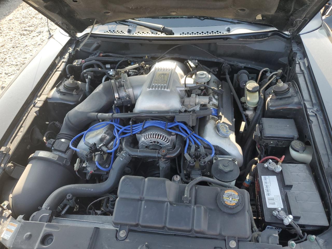 1998 Ford Mustang Cobra VIN: 1FAFP46V6WF177471 Lot: 62398875