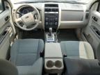 2011 Ford Escape Xls for Sale in Elgin, IL - Side