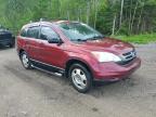 2010 HONDA CR-V LX   for sale at Copart ON - COOKSTOWN
