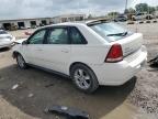 2005 Chevrolet Malibu Maxx Ls للبيع في Indianapolis، IN - Front End