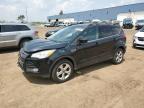 2013 Ford Escape Se for Sale in Woodhaven, MI - Front End