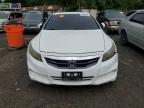 2011 Honda Accord Exl продається в Baltimore, MD - Front End