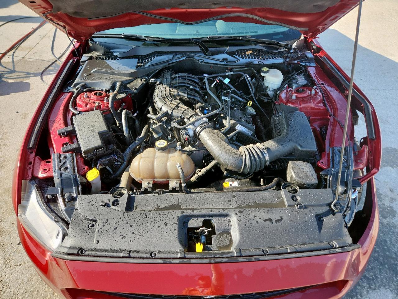 2016 Ford Mustang VIN: 1FA6P8AM5G5242145 Lot: 60718535