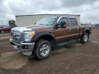 2011 FORD F250 SUPER DUTY   for sale at Copart AB - CALGARY
