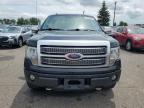 2011 Ford F150 Supercrew   for Sale in Ham Lake, MN - Hail