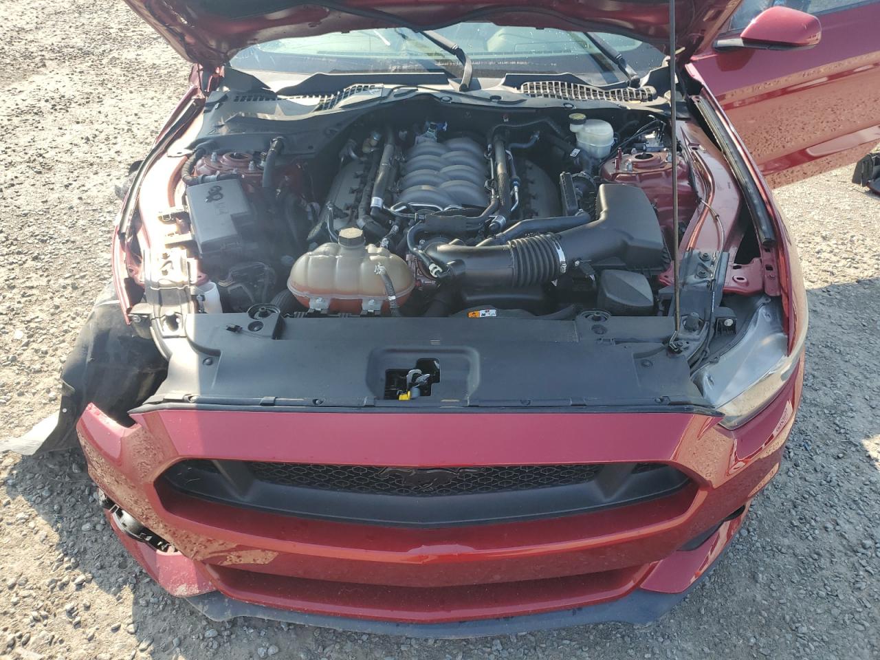 FORD MUSTANG 2016 VIN 1FA6P8CF3G5255250 zdjęcie 11