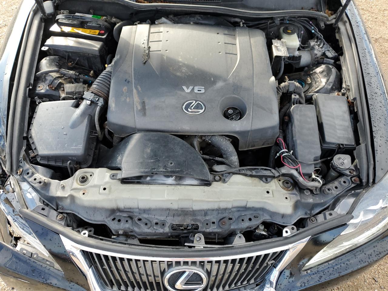 2009 Lexus Is 250 VIN: JTHCK262992029461 Lot: 62757055
