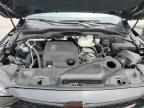 2024 Acura Mdx Type S Advance zu verkaufen in Brookhaven, NY - Minor Dent/Scratches