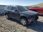 2011 Ford Escape Hybrid   იყიდება Reno-ში, NV - Front End