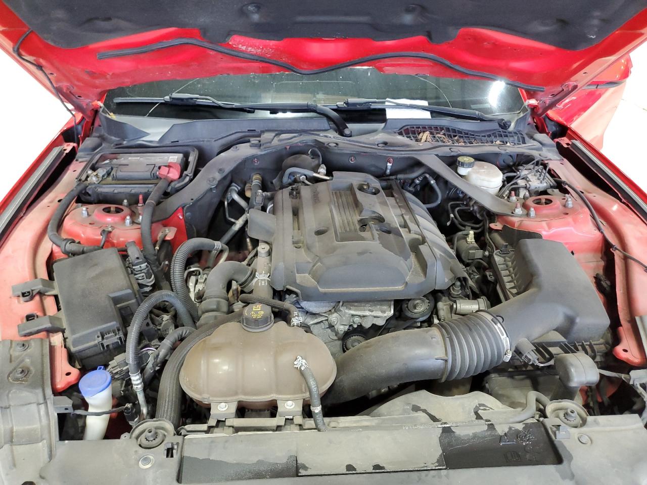 2020 Ford Mustang VIN: 1FATP8UH6L5125878 Lot: 60897975