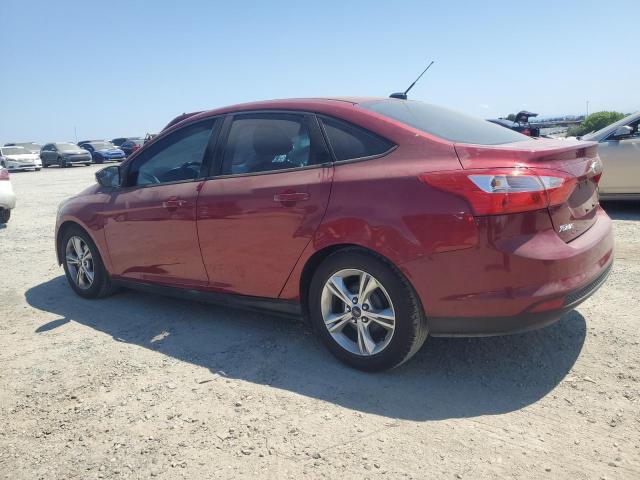  FORD FOCUS 2014 Burgundy