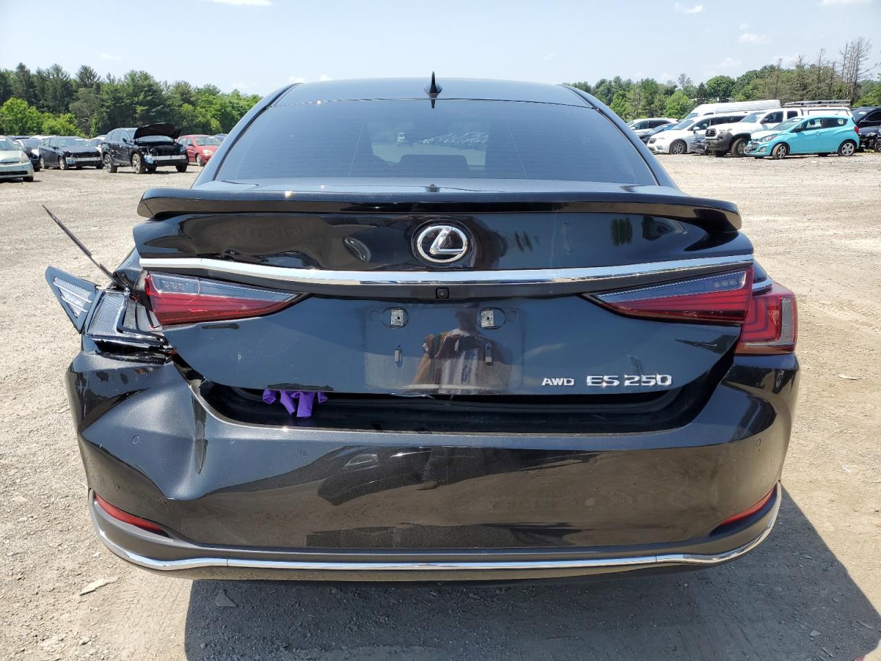 2023 Lexus Es 250 Base VIN: 58AD11D18PU010693 Lot: 61650675
