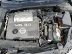 2004 Nissan Maxima Se for Sale in Memphis, TN - Front End