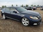 2009 LEXUS LS 460   for sale at Copart AB - CALGARY