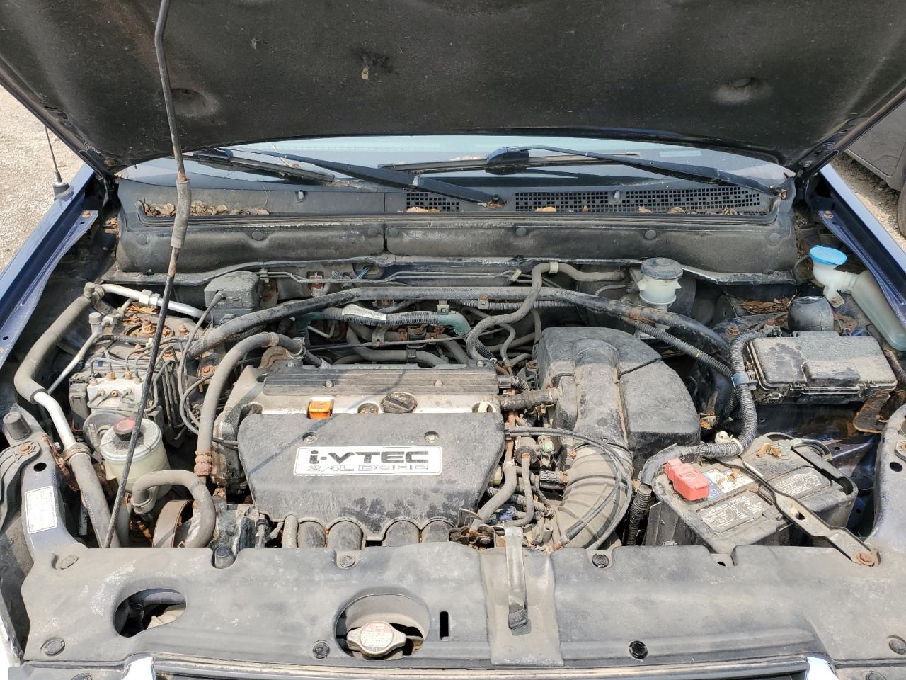 2003 Honda Cr-V Ex VIN: SHSRD78833U117598 Lot: 60190905