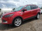 2013 Ford Escape Se na sprzedaż w Rocky View County, AB - Hail