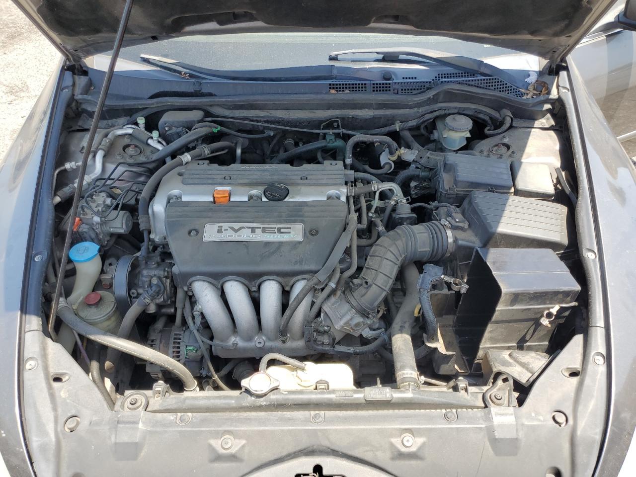 jhmcm56796c005397 JHMCM56796C005397 2006 Honda Accord Ex
