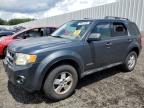2008 Ford Escape Xlt for Sale in Waldorf, MD - Rear End