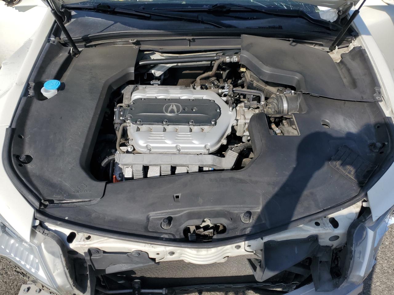 2010 Acura Tl VIN: 19UUA9F56AA006310 Lot: 61225095