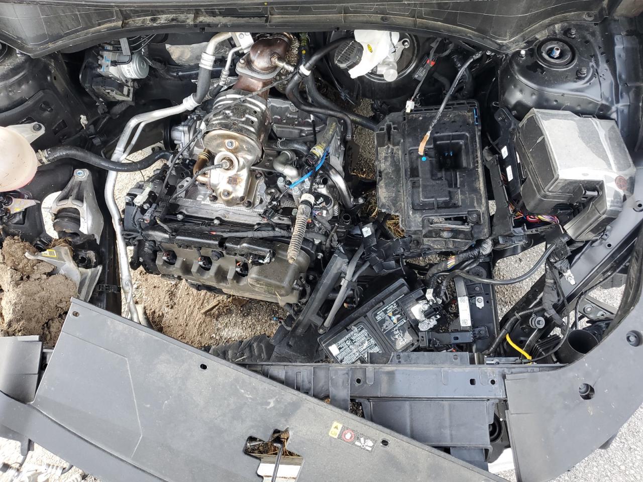 2024 Kia Sorento S VIN: 5XYRLDJC5RG301501 Lot: 62122255