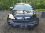 2008 HONDA CR-V EXL   for sale at Copart ON - COOKSTOWN