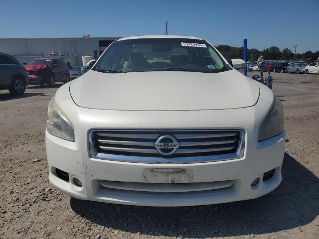 Sedans NISSAN MAXIMA 2013 White