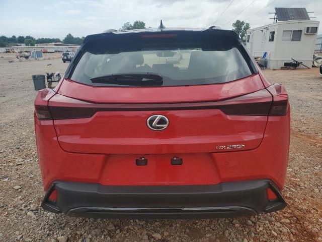  LEXUS UX 250H PR 2024 Czerwony